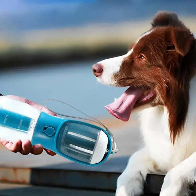 All-in-One Pet Travel Essentials: Water, Food & Waste Bag Dispenser
