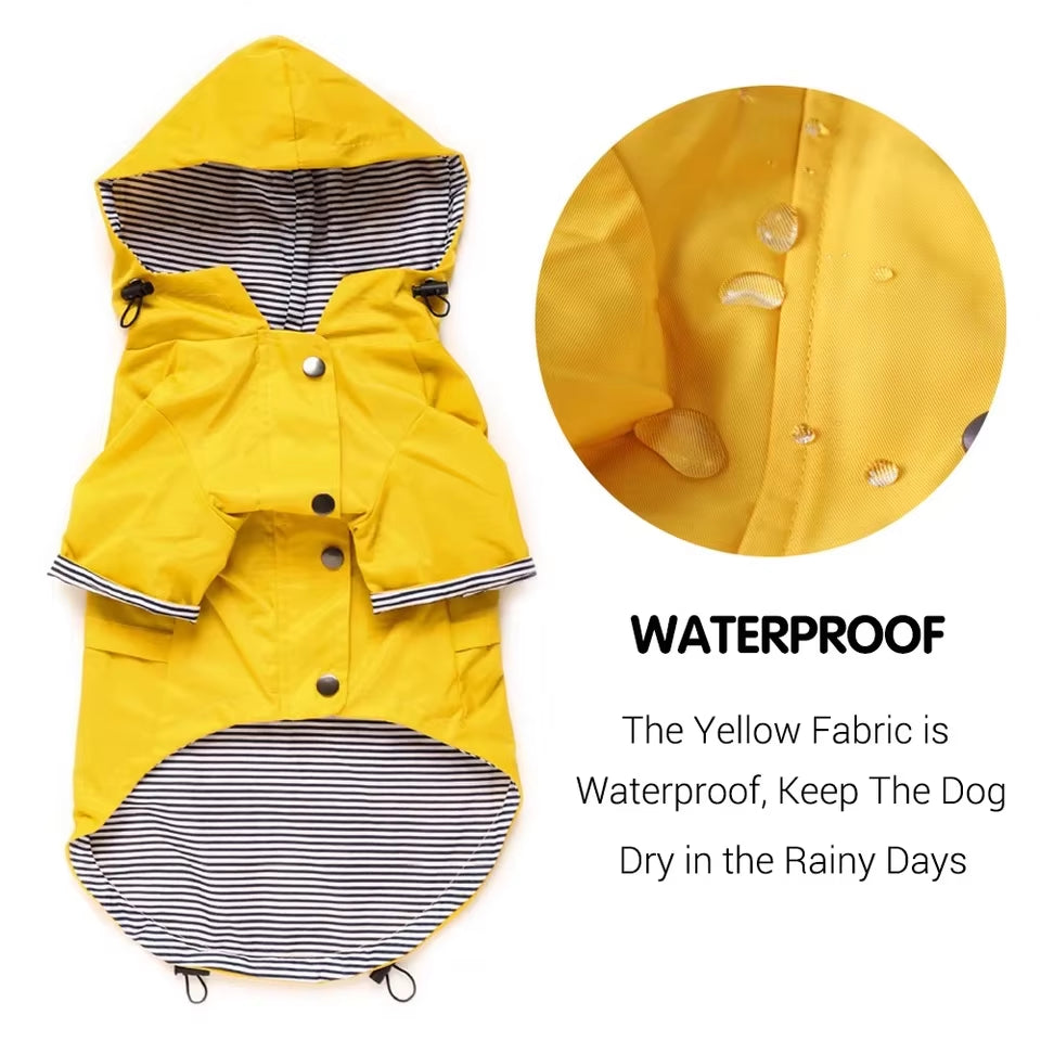 All-Weather Dog Hoodie: Waterproof & Windproof