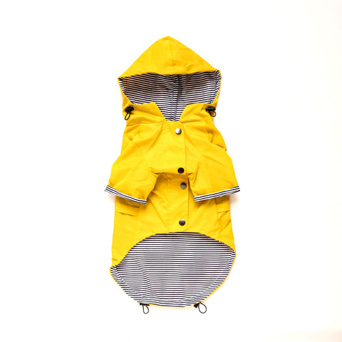 All-Weather Dog Hoodie: Waterproof & Windproof