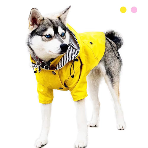 All-Weather Dog Hoodie: Waterproof & Windproof